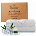 Bambopia Embroidered 100% Viscose Derived from Bamboo Quilt Only 400TC Bamboo Viscose Fabric + 150GSM Filling, Lightweight Blanket for Hot Sleepers, Breathable Cooling Comforter, White