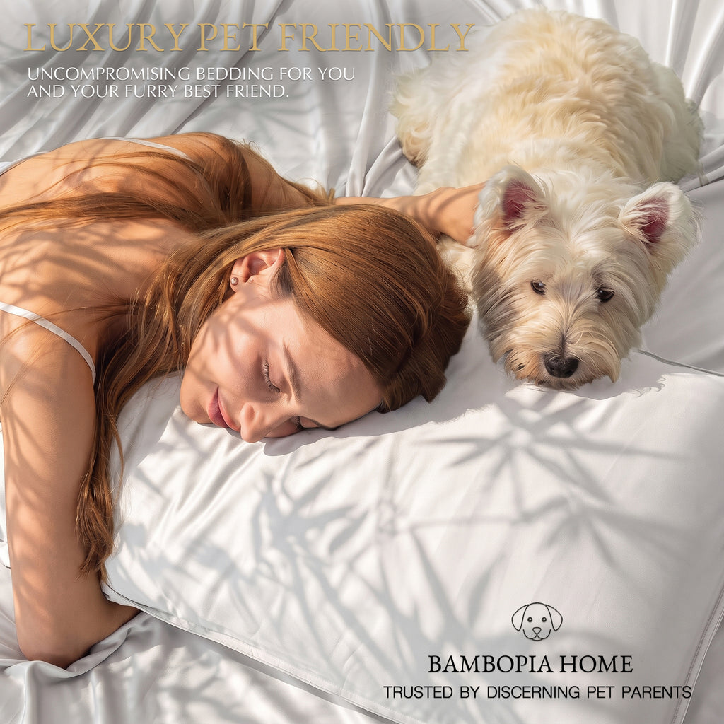Bambopia 400TC 100% Viscose Derived from Bamboo Pillow Cases Set of 2 - 2 Pack Breathable & Cooling Pillowcases for Hot Sleepers, Pillow Covers with Envelope Closure, White