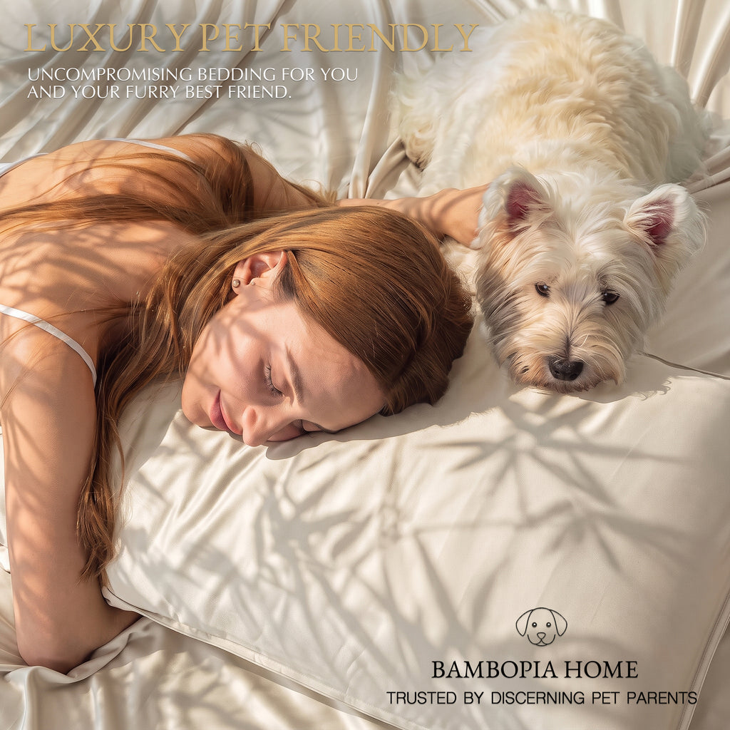Bambopia 400TC 100% Viscose Derived from Bamboo Pillow Cases Set of 2 - 2 Pack Breathable & Cooling Pillowcases for Hot Sleepers, Pillow Covers with Envelope Closure, Beige