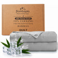 Bambopia Embroidered 100% Viscose Derived from Bamboo Quilt Only 400TC Bamboo Viscose Fabric + 150GSM Filling, Lightweight Blanket for Hot Sleepers, Breathable Cooling Comforter, Light Gray